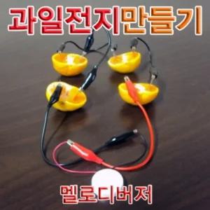 과일전지만들기 멜로디버저(1인용)/과학/만들기/학습/교육/창의/개발/어린이/초등/교구/실험/키드/모형