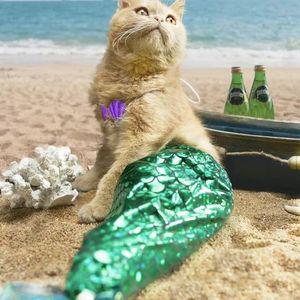 고양이 인어공주 코스튬 촬영 의상 쓸모없는 웃긴 고양이코스튬 쓸모없는웃긴선물 고양이비키니