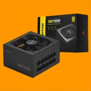 Segotep GM750W 80PLUS 골드 풀모듈러 ATX3.1 컴퓨터 파워 (블랙)