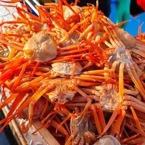 [인정식탁][일품대게]실속형 구룡포 자숙 홍게 3kg (9-12마리)