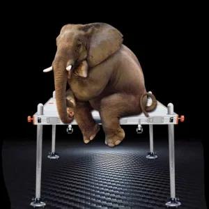 접이식 휴대용 민물 낚시 경량 좌대 스마트 수상 발판