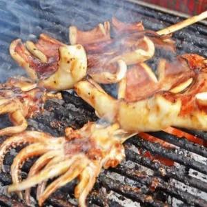 [체험특가] 식탐 원양산 파지 반건조 오징어 1kg (8미~20미)