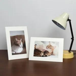 아트박스 모노라이크 스탠딩 슬림앤라이트 종이액자 - 4x6 화이트 20매