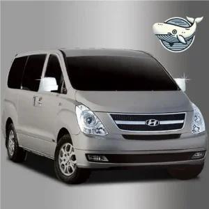 그랜드스타렉스 사이드미러 커버 2개 차량 외관 사이드미러몰딩 사이드미러가니쉬