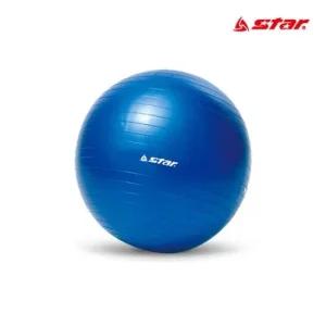 ksr 스타 마사지 미니 짐볼 블루 45cm 운동 스트레칭