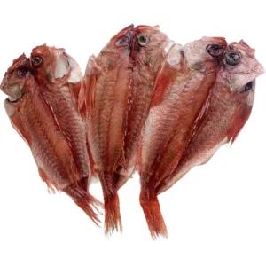 속초 덕장운영 반건조 장문 볼락 3미 생선 뽈락 손질 마른 말린 제수용 열기 적어