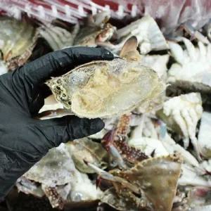 국내산 연평도 절단꽃게 500g 6팩 (3kg) / (팩당 4~6쪽, 2~3마리)