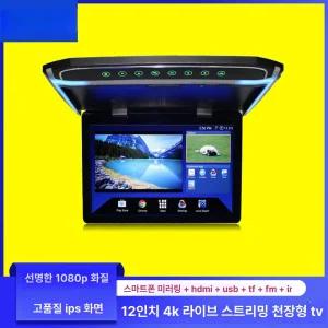 12인치 카니발 천장 모니터 무드등 리무진 플레이어 뒷좌석