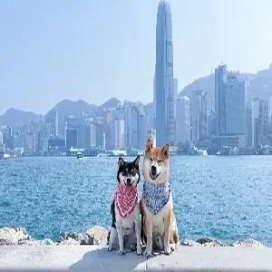 홍콩/마카오 4일 #SNS핫플#로컬맛집#식사UP#별빛야경#시내호텔#노쇼핑#꽉찬일정#자유일정포함#오후출발