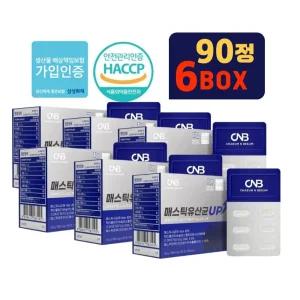 CNB 매스틱 유산균 식약처 HACCP 인증 90정 6박스 매스틱검 분말 정