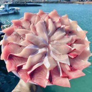 돌담프룻 제주 마라도 대방어 제철 방어회 필렛 6kg 1마리