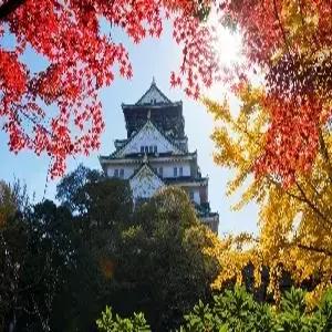 [항공+보험] 오사카 항공권 4일 #항공+보험ONLY #100%출발확정