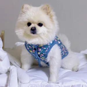 S-4XL 강아지 패딩조끼, 할매 김장조끼, 따뜻하고 예쁜 빈티지 꽃무늬 2컬러