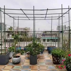 포도나무 지지대 터널 원예 텃밭 덩굴 하우스 오이