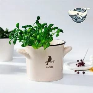 세라믹 미니 화분 다육이 조화 인테리어 홈장식 데스크미니화분 데스크화분 조화화분