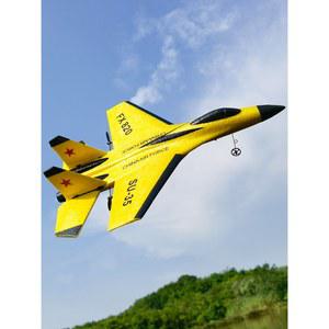 입문용 무선 조종 스턴트 비행기 항공기 장난감 (특정 스타일)