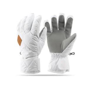 아넥스 성인용 겨울 스키장갑 스노우보드 장갑 방한 5710