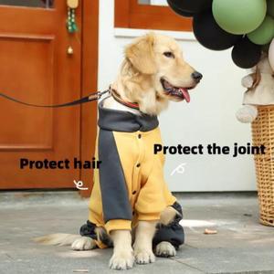 골든 리트리버 중형 대형견 후드티 래브라도 4 피트 따뜻한 후드티, 애완견 옷, 가을 겨울 신상