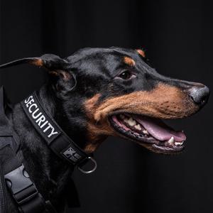 와일드독 커스텀 칼라 / 강아지목걸이 / 대형견목걸이