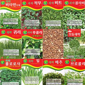 새싹씨앗모음 새싹재배기 싹 채소