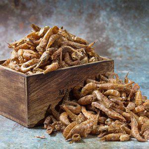 쵱선생 국내산 서해안 햇 보리새우 건새우 300g특품 육수 볶음