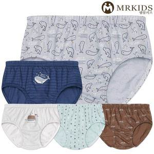 [엠알키즈]MR키즈 고래의 꿈 남삼각 5매입 아동팬티 아동속옷