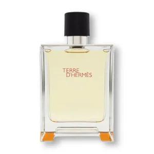 에르메스 떼르 데르메스 EDT 100ml