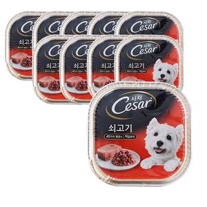 시저 쇠고기 습식사료 100g x10개/ 반려견 주식 캔