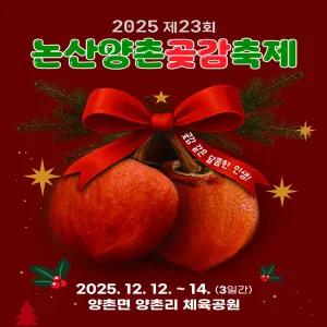 [충남] 2025 논산 양촌 곶감축제+탑정호 출렁다리+강경 젓갈시장/근대문화거리 당일여행 / 서울경기出