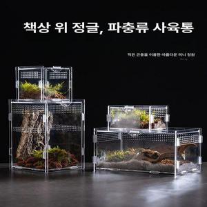 딱정 장수풍뎅이 사슴벌레사육장 벌레 달팽이집 아크릴