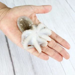 베트남 냉동 쭈꾸미 2.4kg (200gX12개) 200g 20/30 15미 , 30/50 10미 , 50/80 8미 , 80/100 6미 골라담기