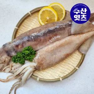 수산잇츠 급냉 냉동 통오징어 2미 600g이상 세척 원양산