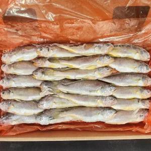 24년 조업 제주수협 참조기 48미 3.7kg-4kg 냉동 생조기 1박스 업소용 대용량