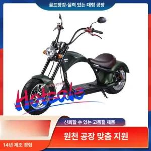 에리꼬 할리스타일 전기자전거 할리 전동 배터리 자전거 전기스쿠터