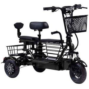 48V 세발 전기자전거 애견 10A48V 2인승 스쿠터 3발전기자전거 35KM