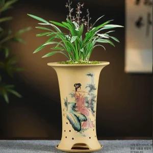 난초화분 사무실 승진난 이전 축하난 카페