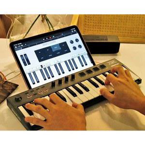 DiPLUS TI 키보드 32키 미디키보드 패드 미니피아노 49 휴대용 음악