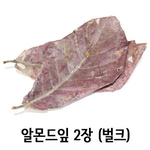 알몬드잎 2장 (벌크)/아몬드잎/수질정화/산란촉진/수질안정/살균/곰팡이 방지/열대어/베타