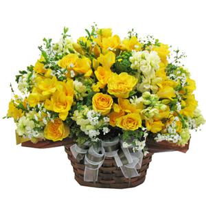화사한봄날[OW-6267][출산/예쁜꽃바구니/생일/칠순/꽃바구니]