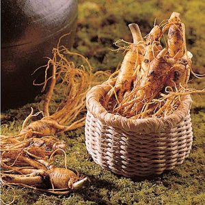 [명가일품][금삼] 국내산 수삼 파삼(6년근/600g,6-10편)