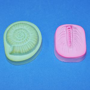 스쿨엔/암모나이트삼엽충화석만들기(5인용)/석고/38934