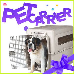 펫메이트 켄넬/스카이/아이리스/리첼 캠핑캐리/유모차