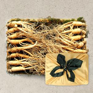 [롯데백화점]오초록 풍기인삼 6년근 수삼 선물세트 5호 (750g, 15-18편, 1채)