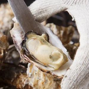 갤러리아 [오늘의바다] 국내산 석화(각굴) 5kg