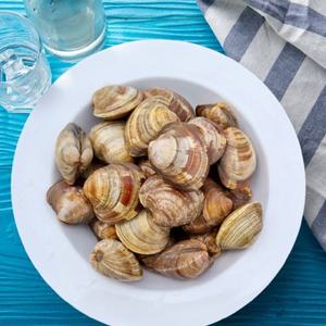 제철 백상합 조개 백합 대 1kg