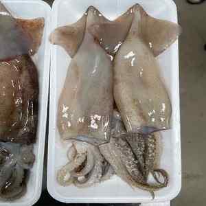 원양산 간편한 냉동 손질 통오징어 2미(400g내외) x 5팩