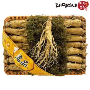 [대명이네 인삼농장]5년근 수삼 특대 2채 인삼 선물세트(14~15뿌리내외/1.5kg)