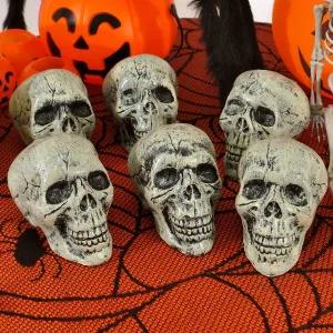 해골얼굴모형세트 6개입  WCA7DCA