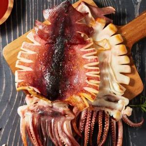 [쫀득고소] 반건조 오징어 피데기 총 10미 (500g내외)