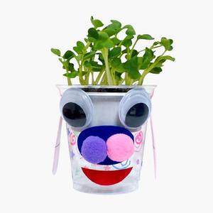 [XBGLJ1NM]무순돼지화분만들기 만들기대장 식물